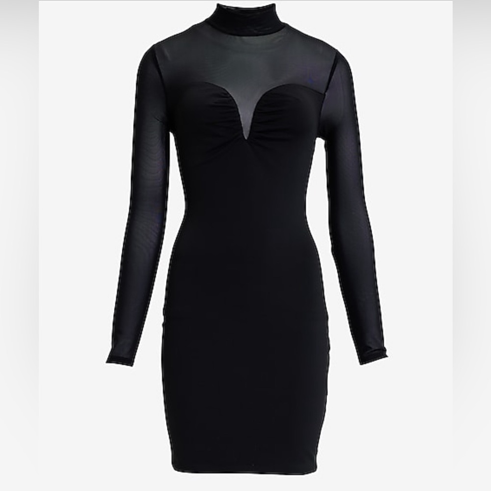 NWT Express Sheer Long Sleeve Dress